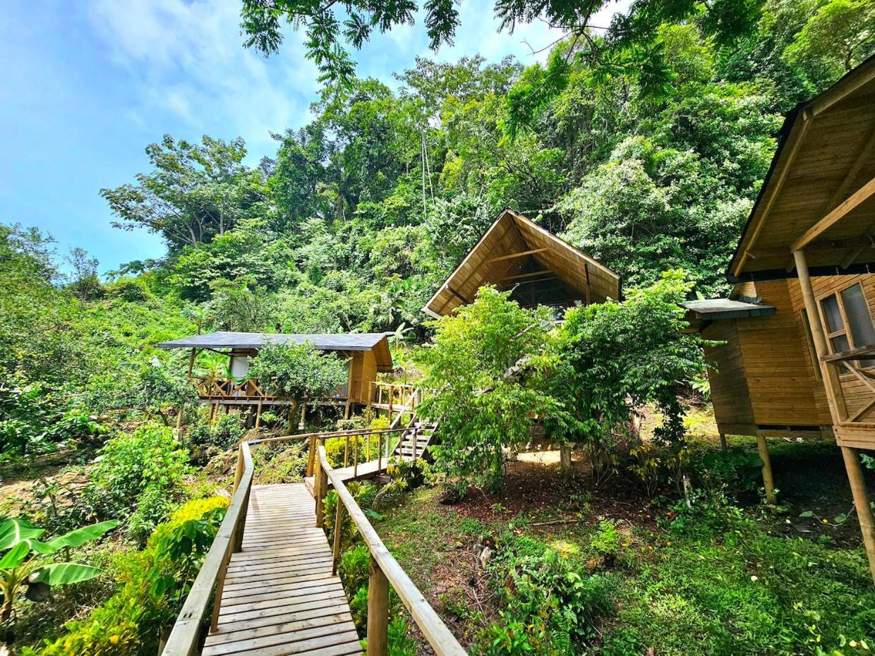 Hotel Piedra Piedra Lodge Nuquí Zewnętrze zdjęcie